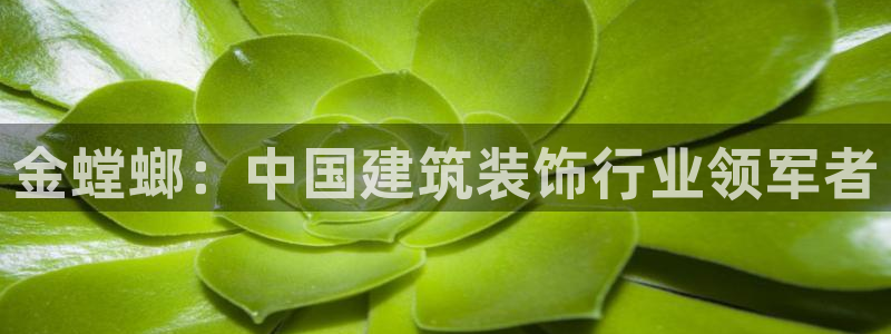 顺盈娱乐招商天原判官333OO