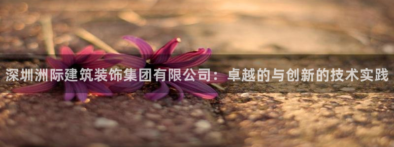 顺盈童欢娱乐有限公司