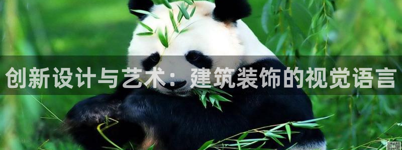 顺盈娱乐注册助判官333OO