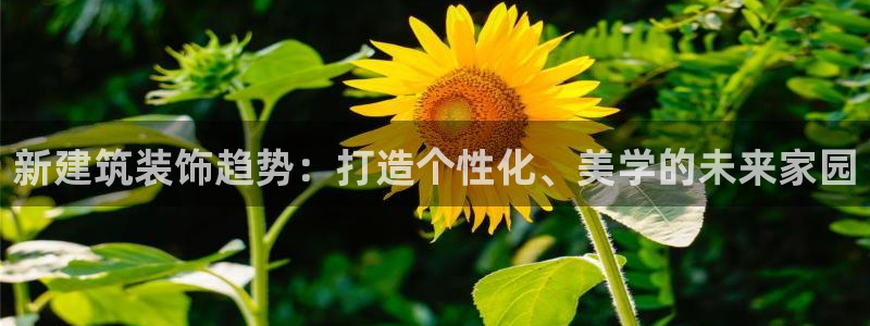 顺盈娱乐计究7276O