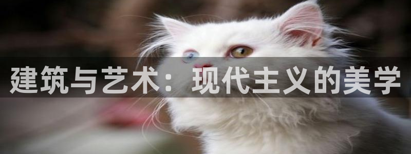 盈顺休闲娱乐室门票价格