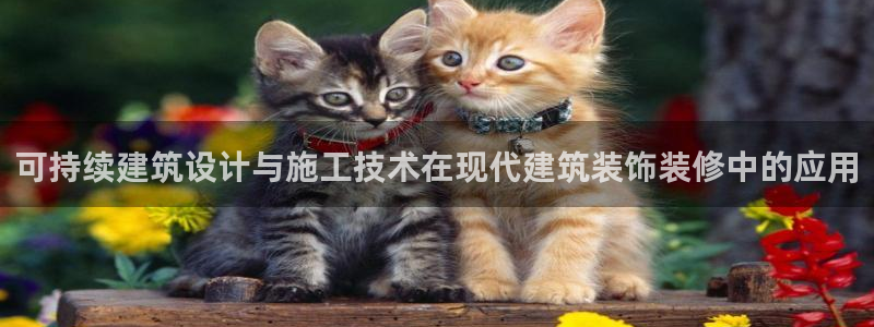 顺盈娱乐游戏开发商