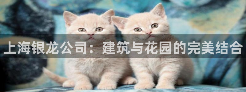 顺盈娱乐主管怎么样