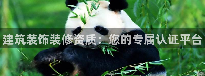 顺盈娱乐游戏开发商
