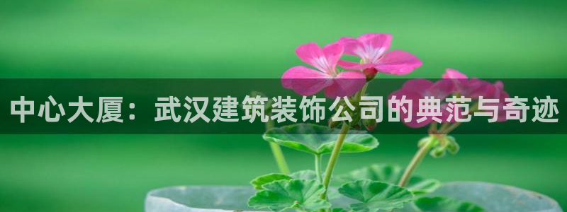 顺盈娱乐棋牌怎么样