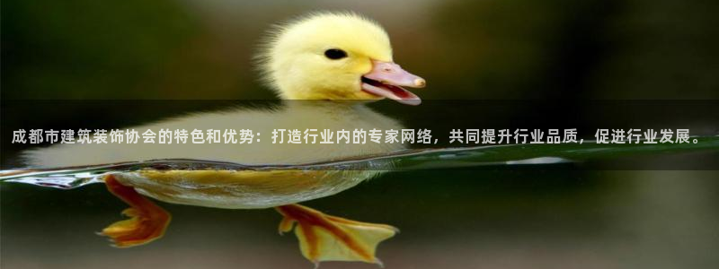 顺盈娱乐登录平台网址