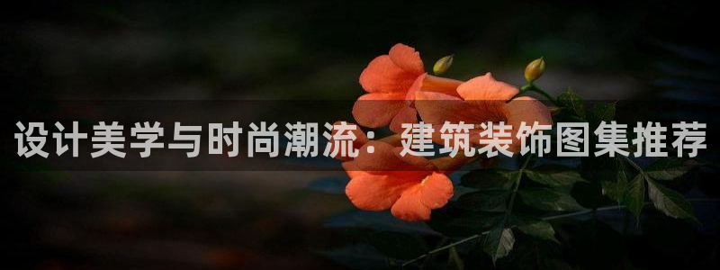 盈顺娱乐休闲室怎么样