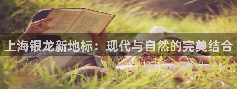 顺盈娱乐网址
