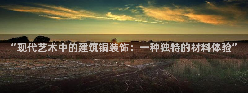 盈顺休闲娱乐室优惠活动