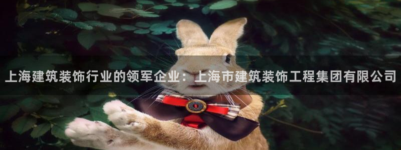 顺盈娱乐2