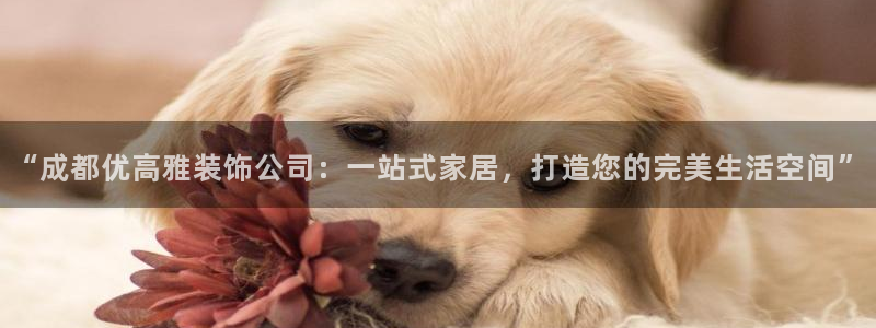 盈顺娱乐休闲室地址