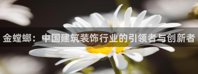 顺盈娱乐西班牙28房