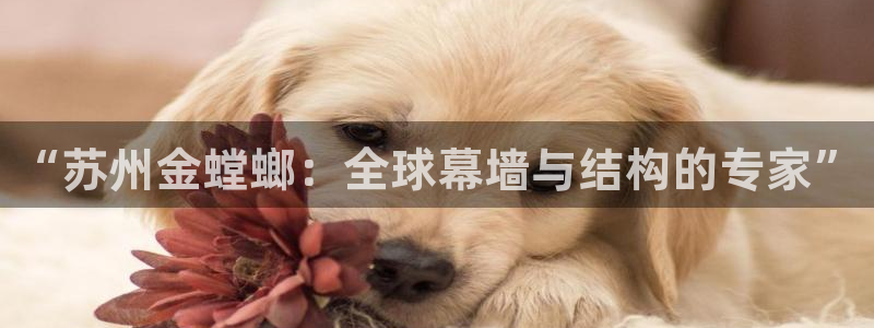 清远顺盈娱乐文案