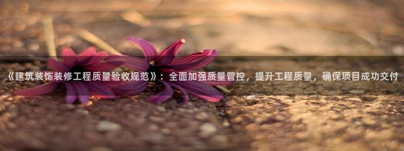 顺盈娱乐在线教育