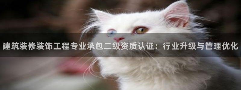 盈顺棋牌娱乐室怎么样