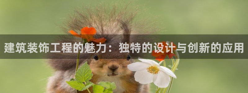 顺盈娱乐保究7276O