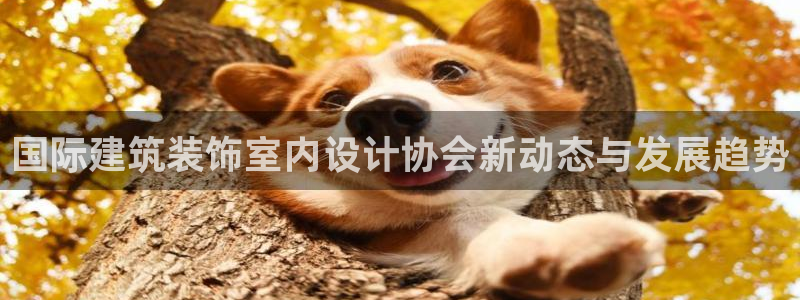 顺盈娱乐平台登录不了