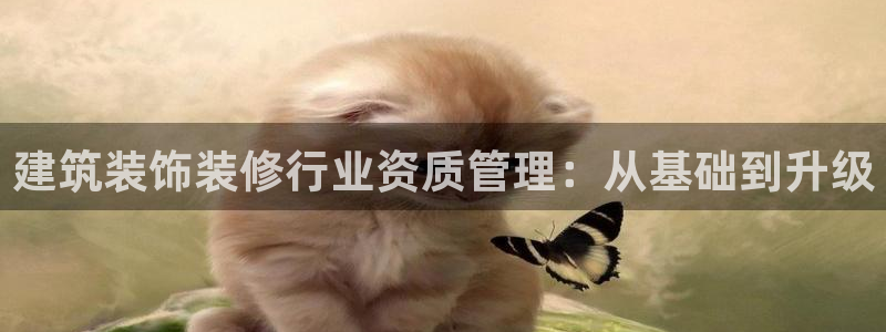 顺盈平台娱乐怎么样啊