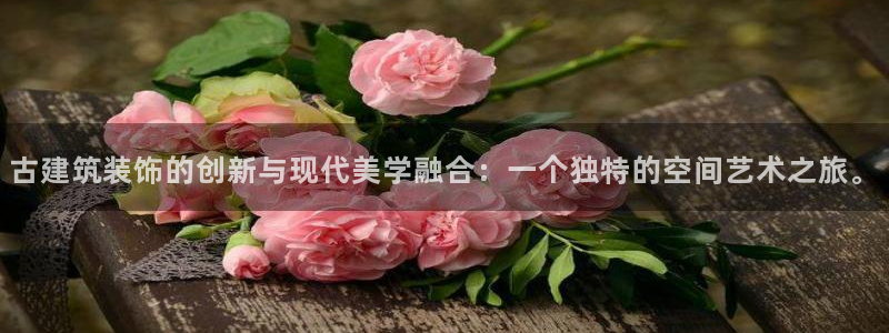 顺盈娱乐下载官网最新版