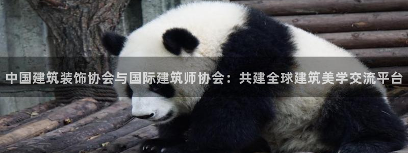 盈顺棋牌娱乐室地址