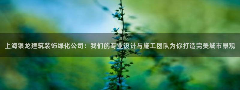 顺盈娱乐下载官网最新版