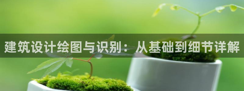 顺盈娱乐平台下载