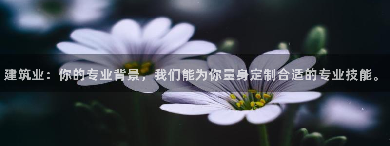 顺盈娱乐如拔7276O