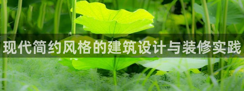 清远顺盈娱乐公司