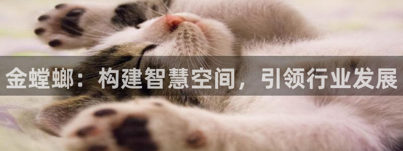 顺盈娱乐滴qv382223