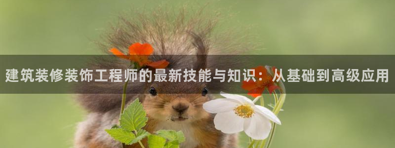 顺盈娱乐 炤企鹅779O3