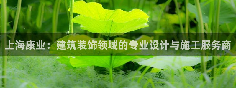 顺盈娱乐主管待判官333OO