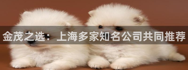 盈顺娱乐休闲室怎么样