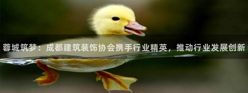 顺盈娱乐注册助判官333OO