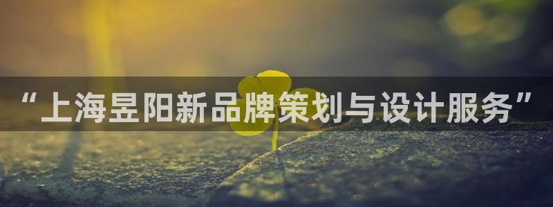 顺盈娱乐平台注册时间