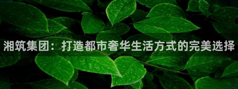 清远顺盈娱乐集团电话