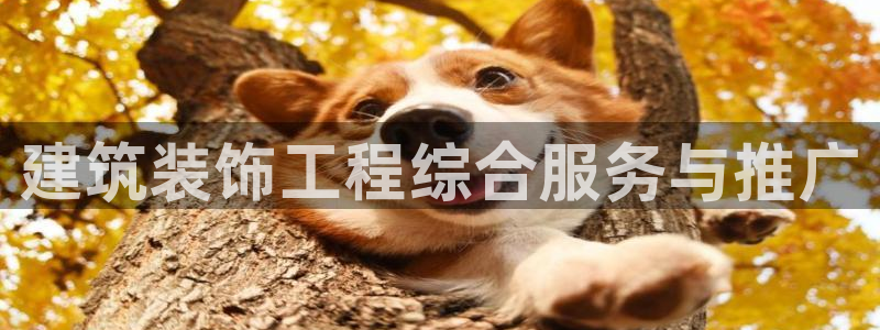 顺盈娱乐彩票官网查询