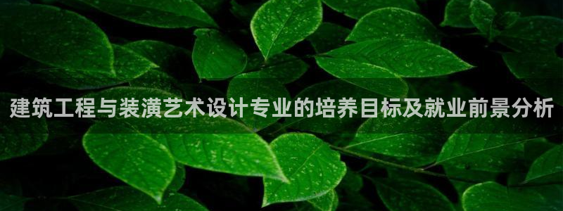 清远顺盈娱乐公司实习