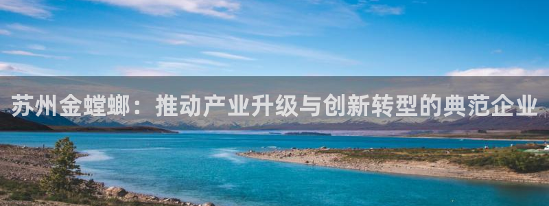 顺盈娱乐下载安装官方版