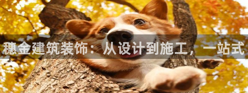 顺盈娱乐下载安装最新版