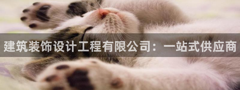 清远顺盈娱乐公司推荐