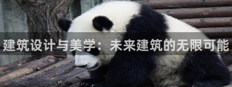 顺盈娱乐注册平台