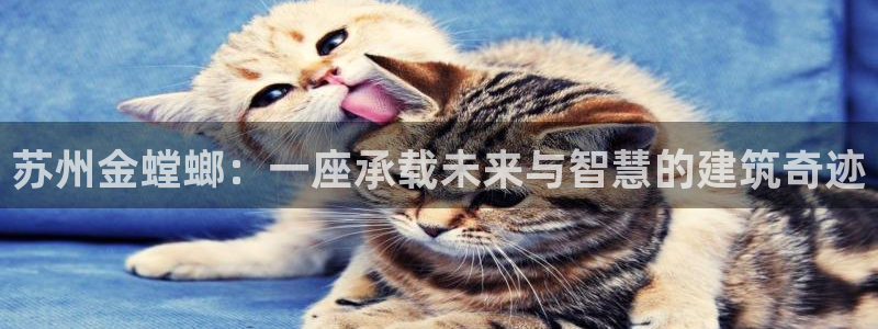 顺盈娱乐是什么意思