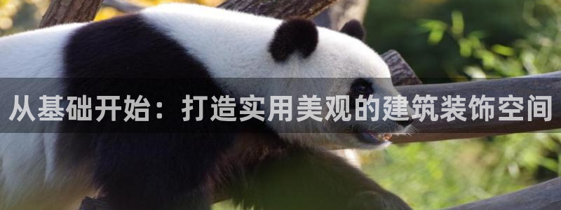 顺盈2娱乐主管啊判官333OO
