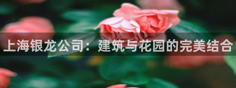 顺盈娱乐招商助判官333OO