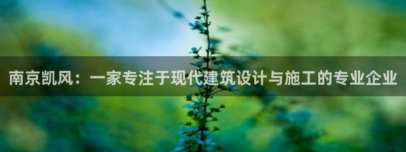 顺盈娱乐形究7276O