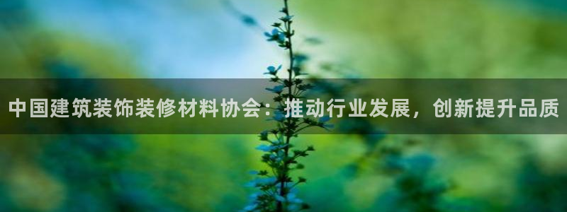顺盈娱乐下载官网最新版