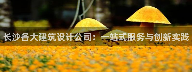 顺盈娱乐注册官网