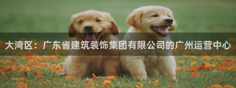 顺盈娱乐主管待判官333OO